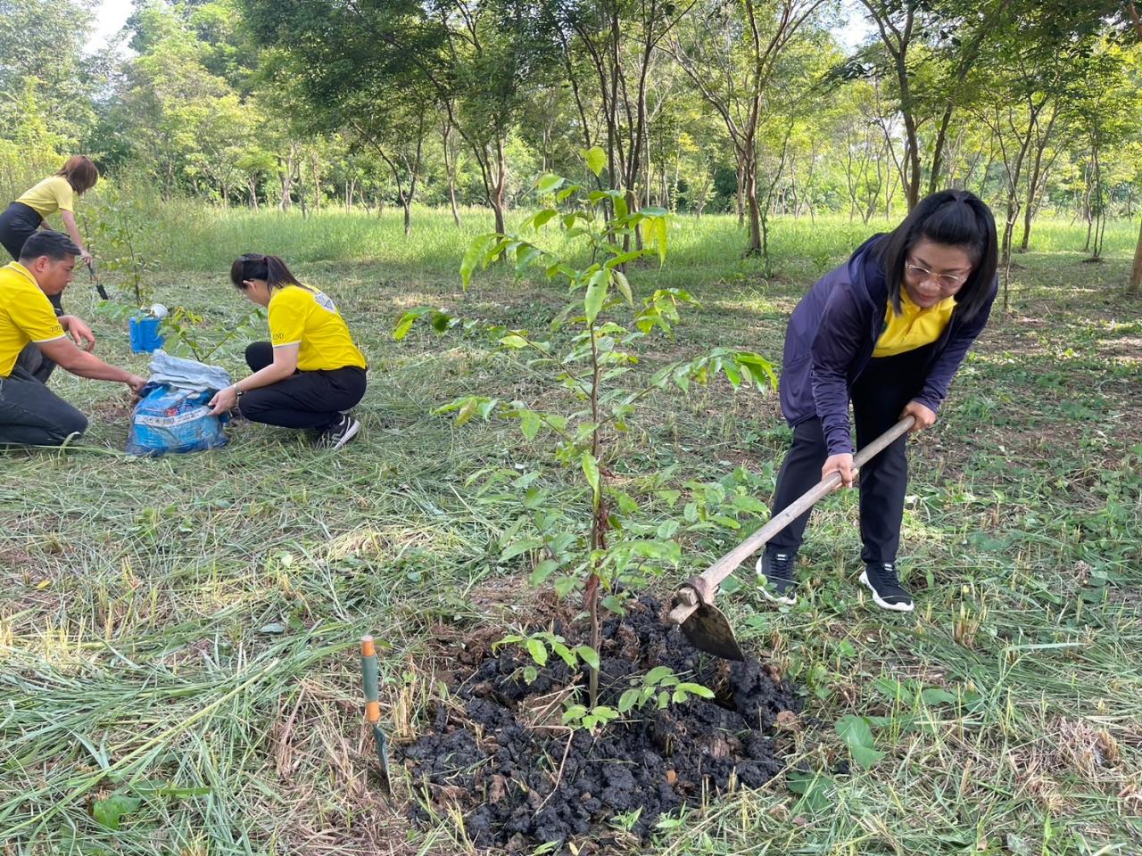ภาพประกอบที่ 18