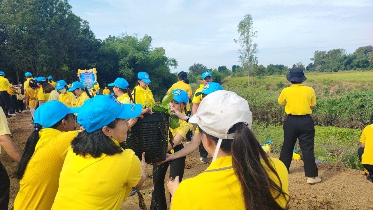 ภาพประกอบที่ 16