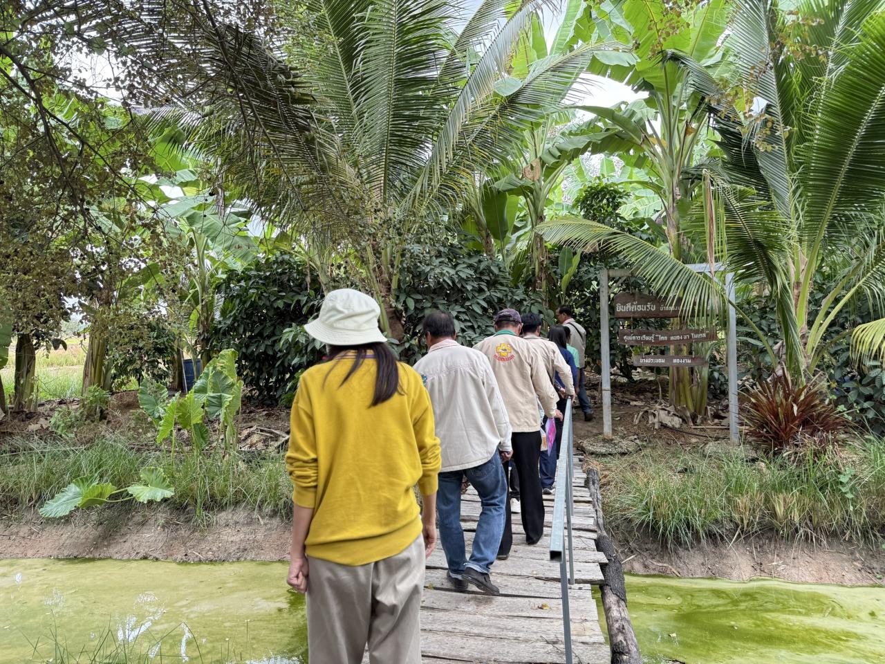 ภาพประกอบที่ 8