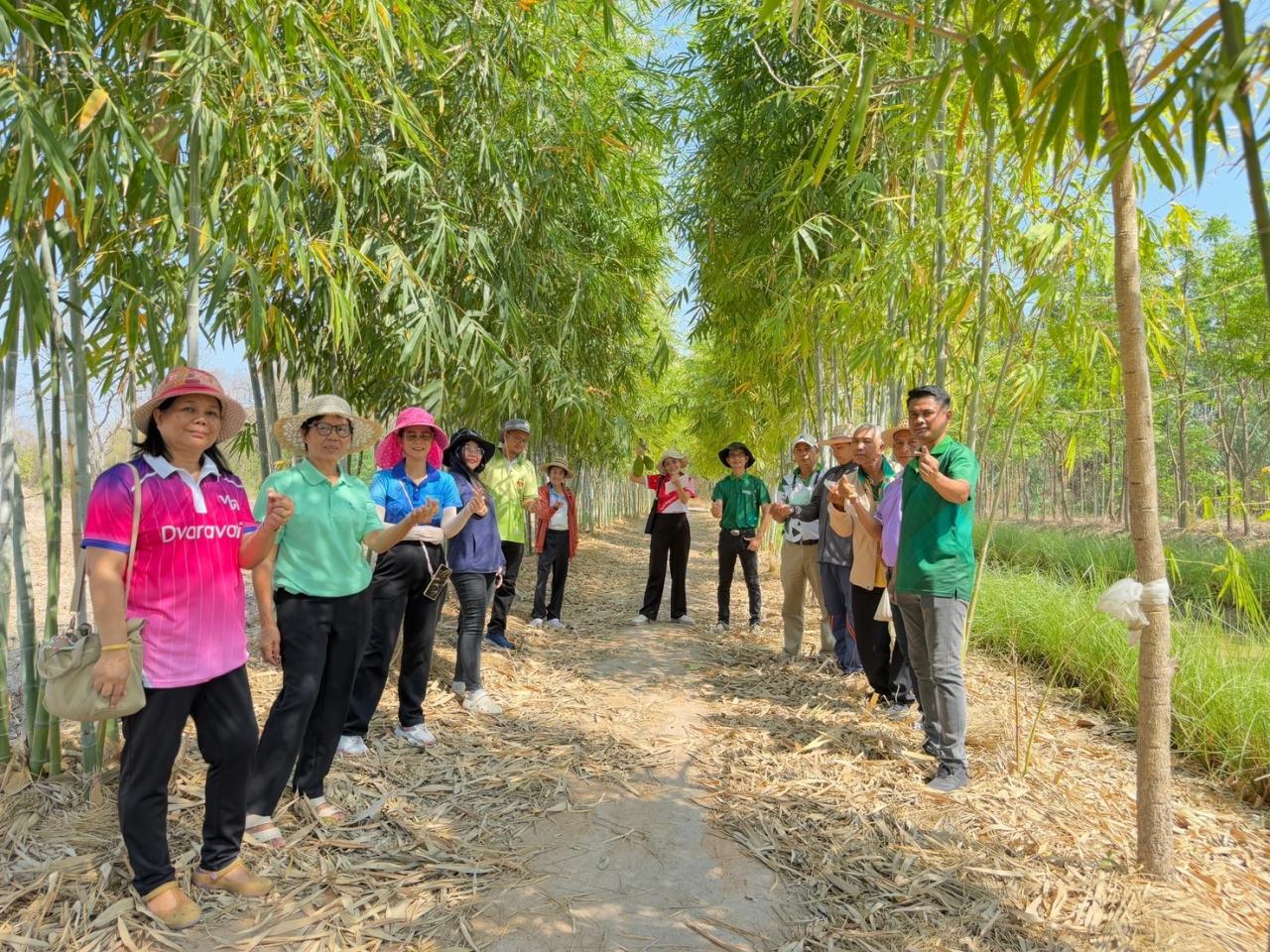 ภาพประกอบที่ 17