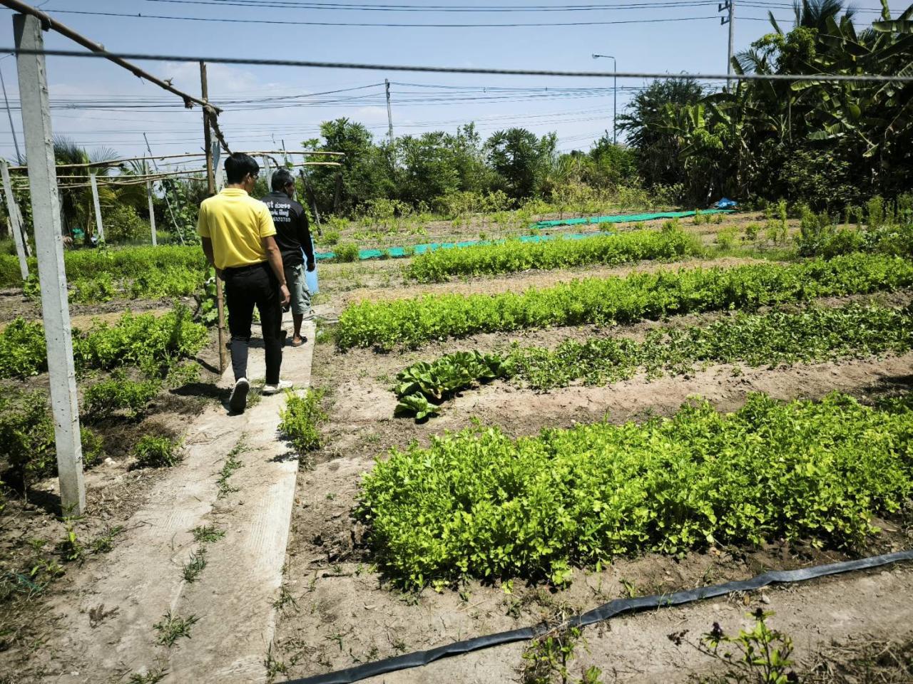 ภาพประกอบที่ 3
