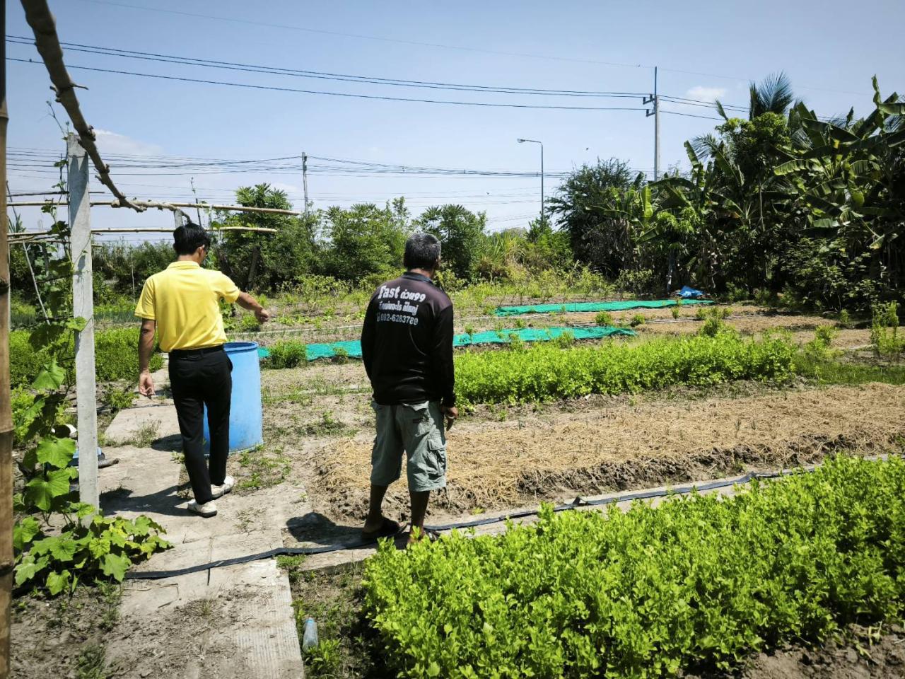 ภาพประกอบที่ 4
