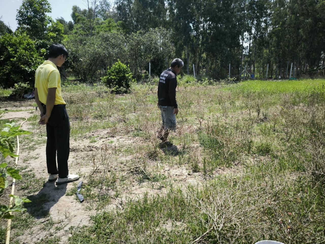 ภาพประกอบที่ 5