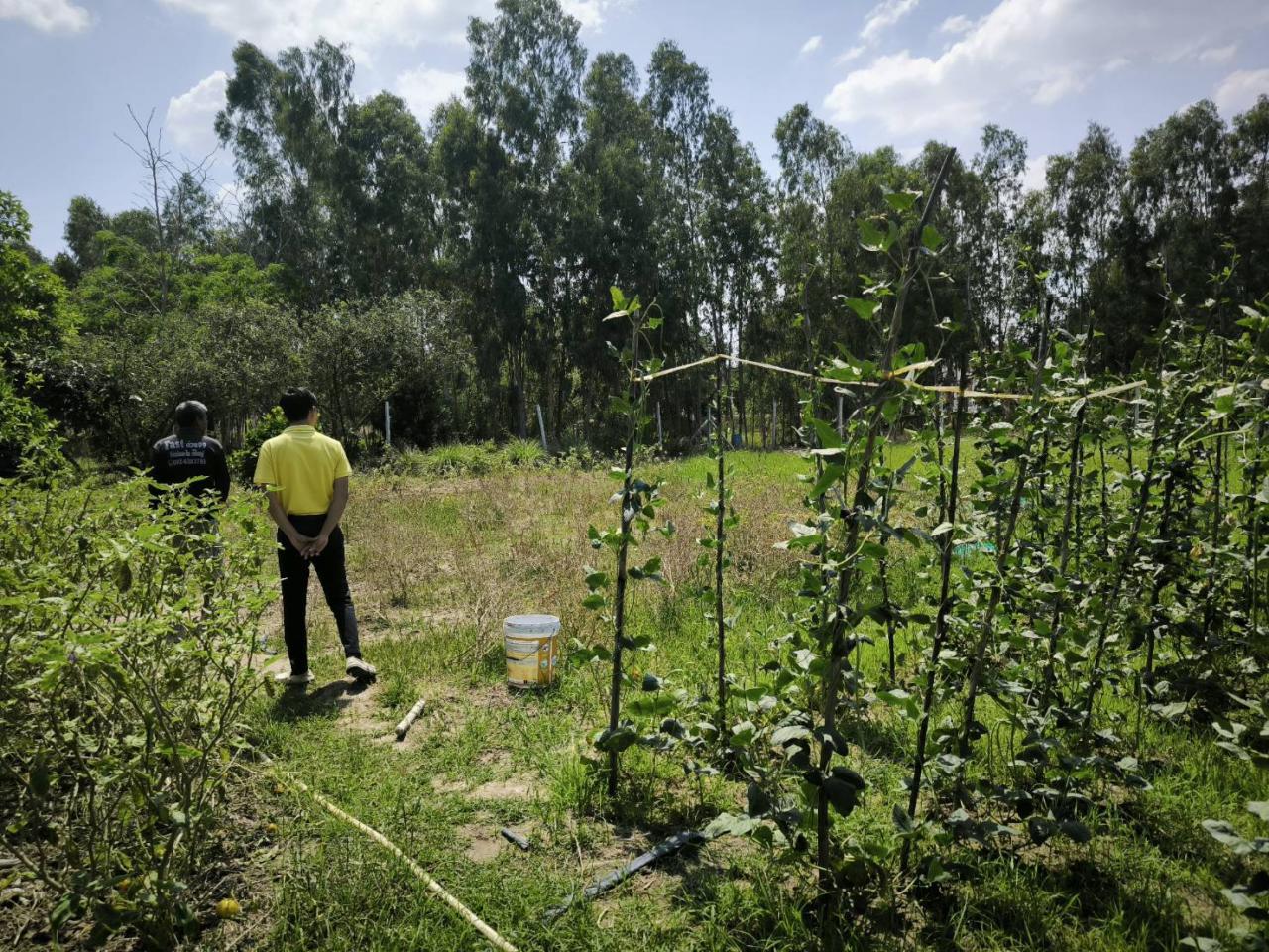 ภาพประกอบที่ 7
