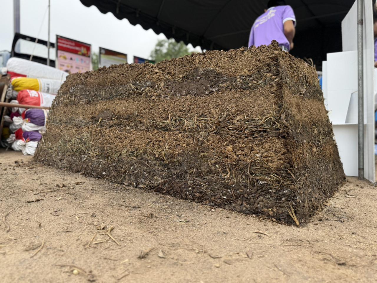 ภาพประกอบที่ 15