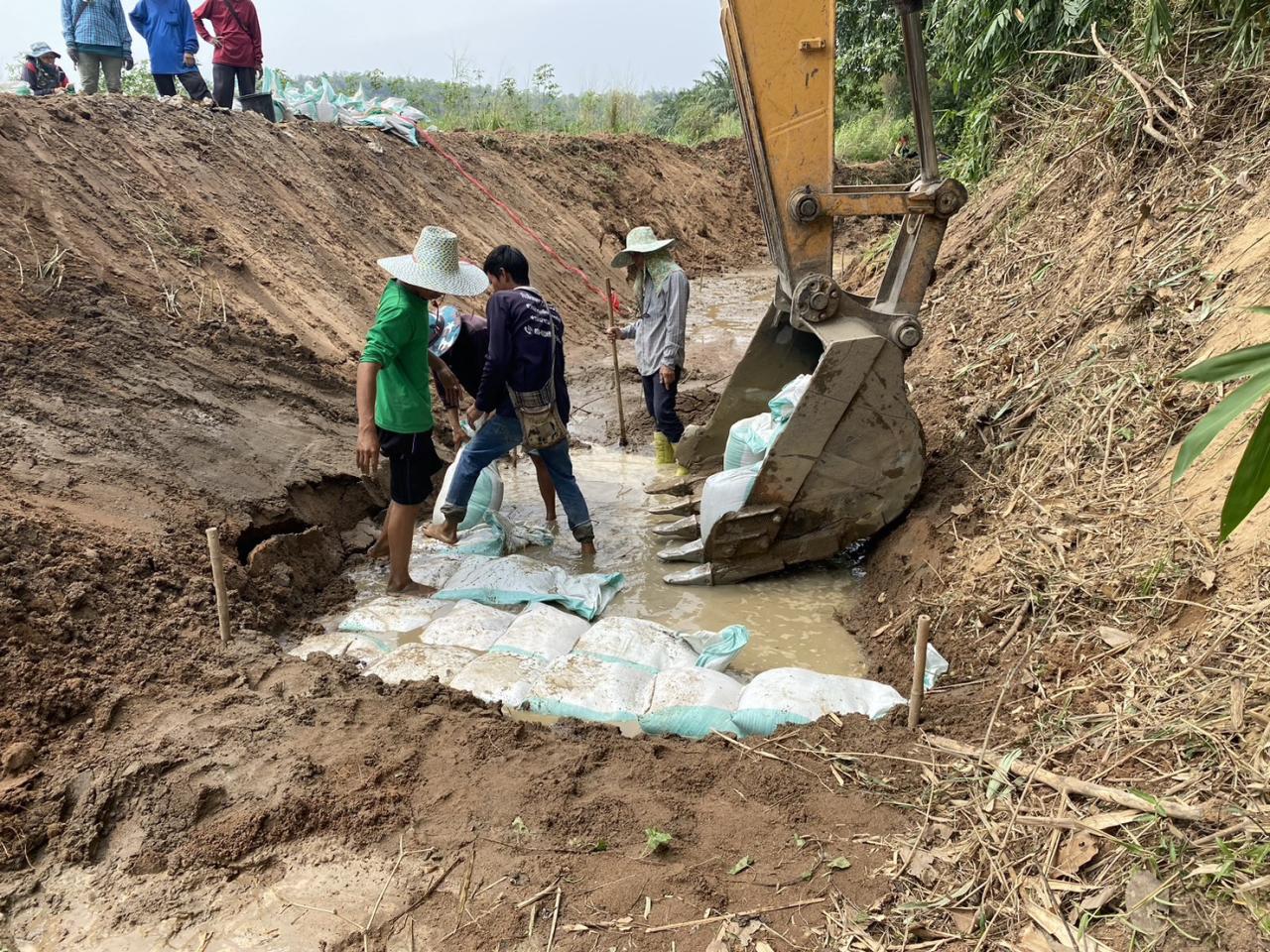ภาพประกอบที่ 4