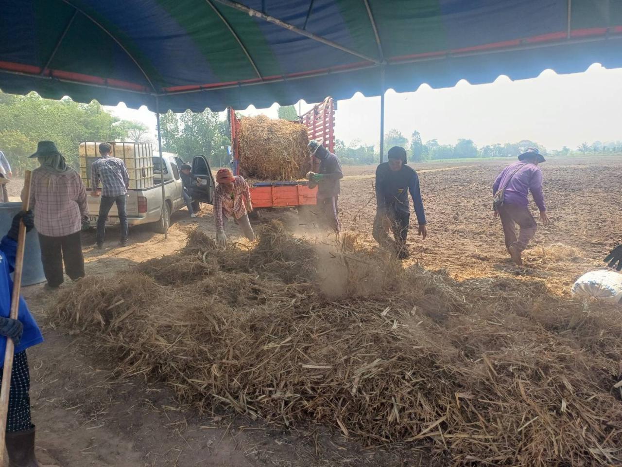 ภาพประกอบที่ 5