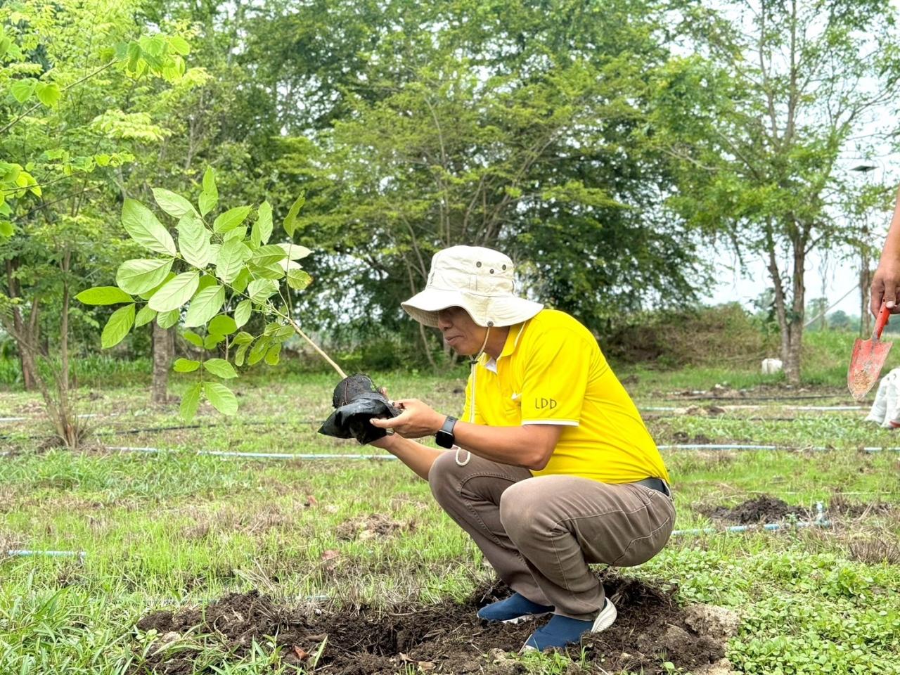 ภาพประกอบที่ 2