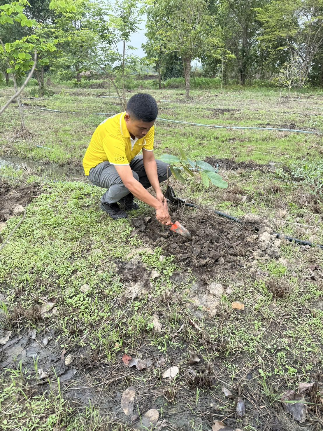 ภาพประกอบที่ 3