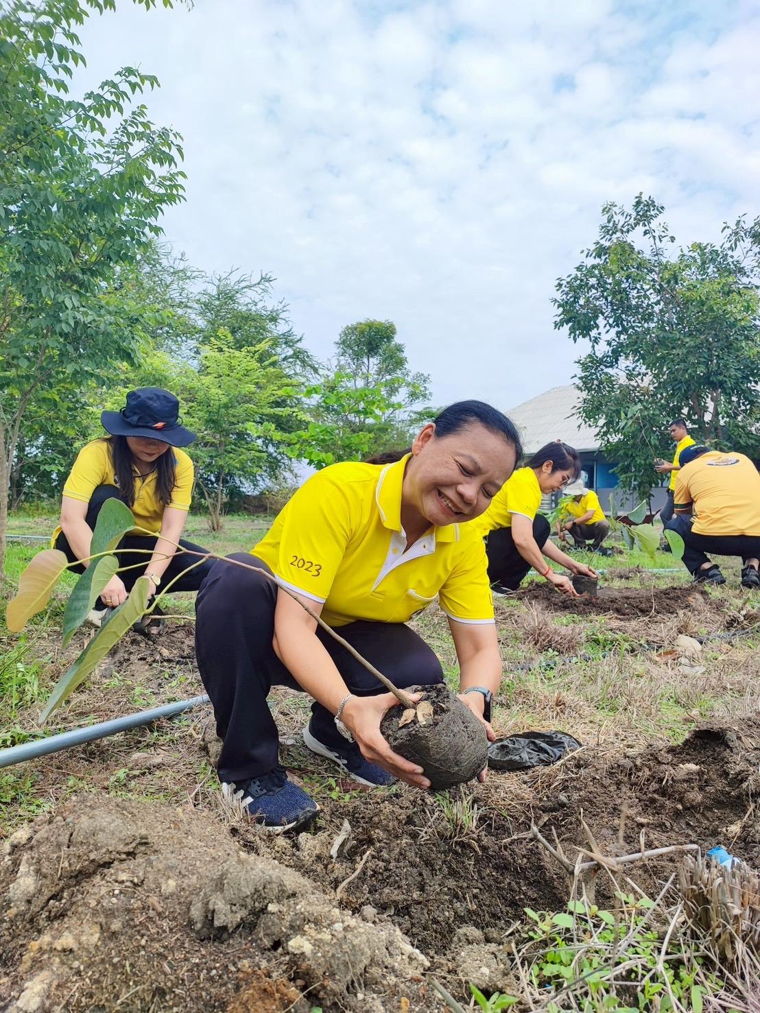 ภาพประกอบที่ 4