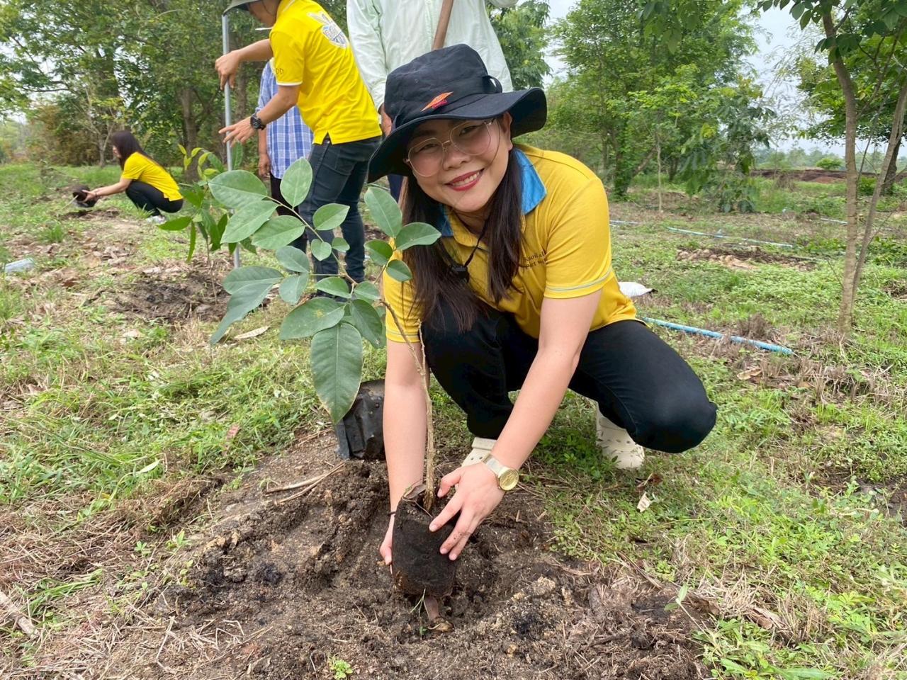 ภาพประกอบที่ 5