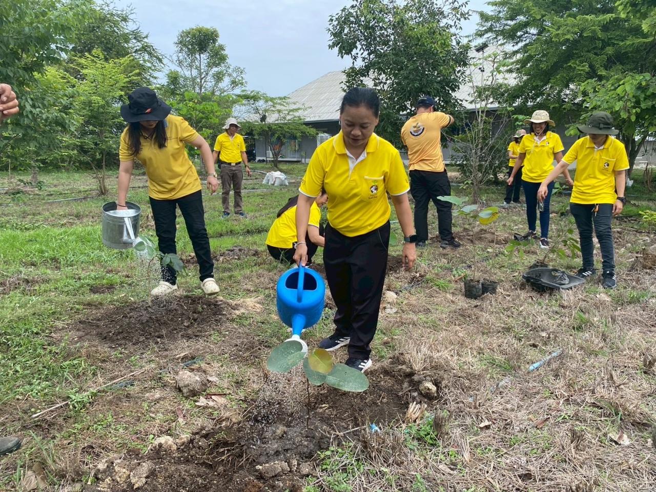 ภาพประกอบที่ 8