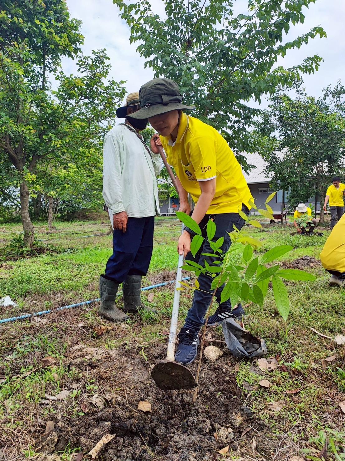 ภาพประกอบที่ 10
