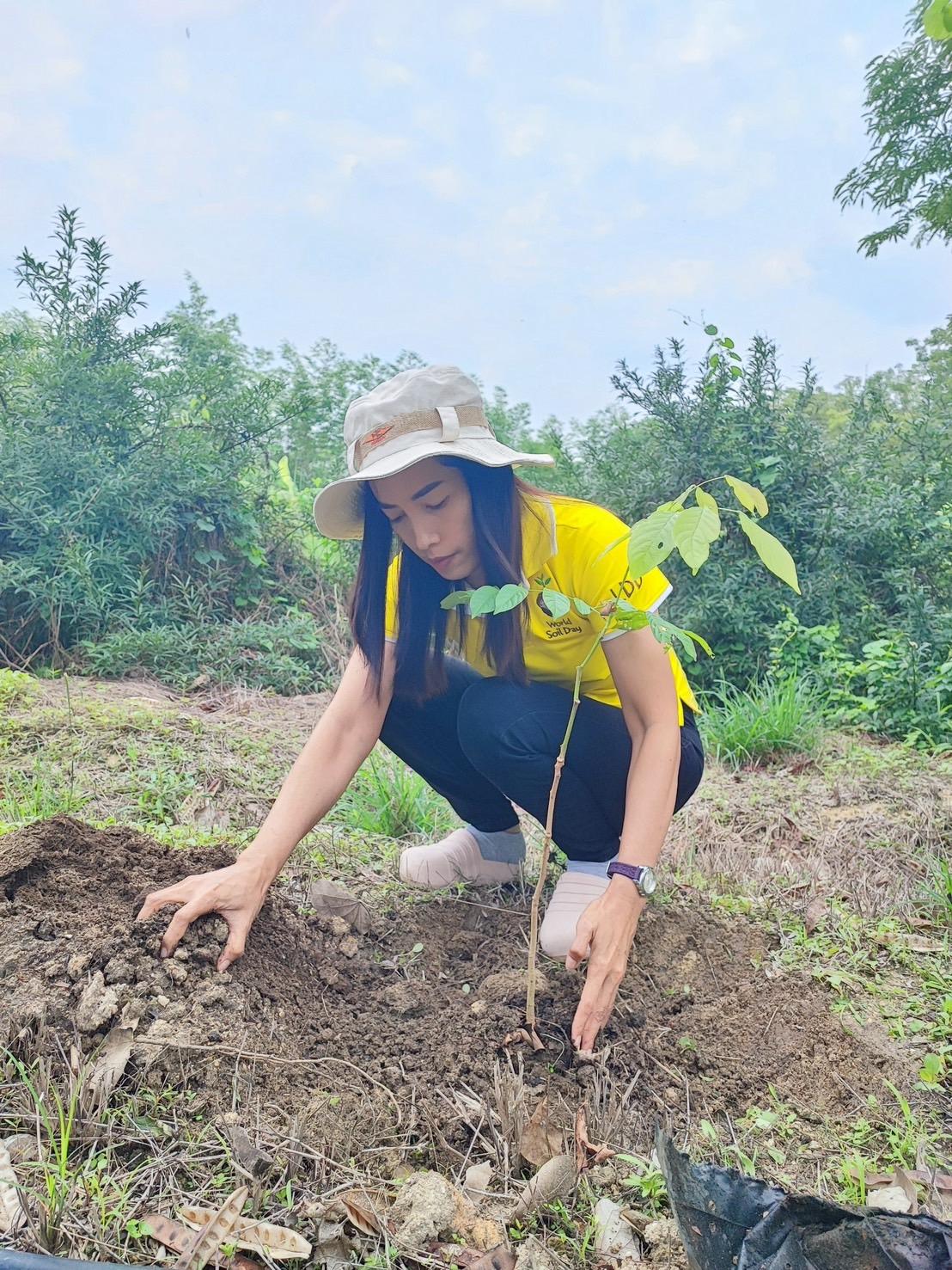 ภาพประกอบที่ 11