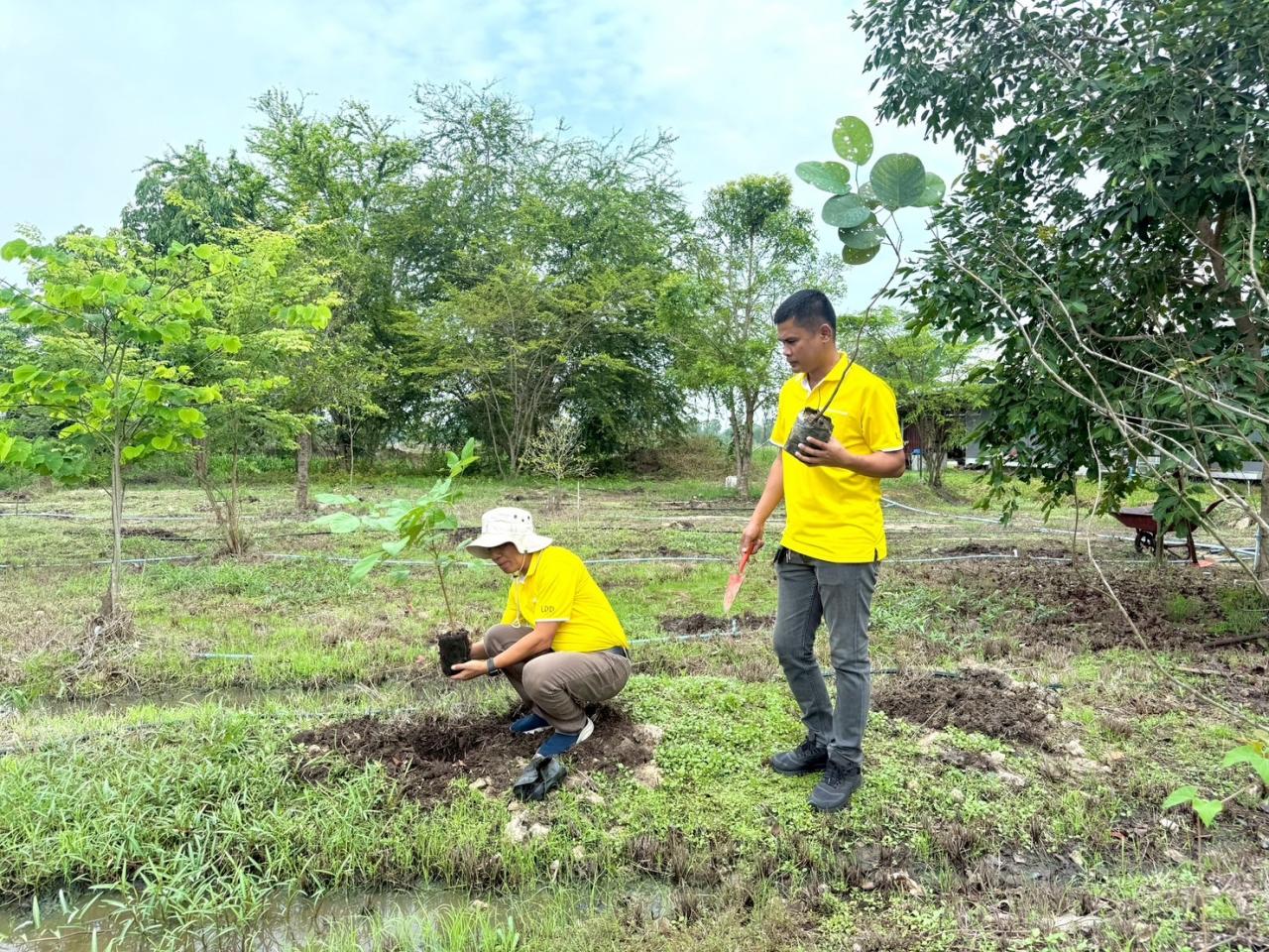 ภาพประกอบที่ 1