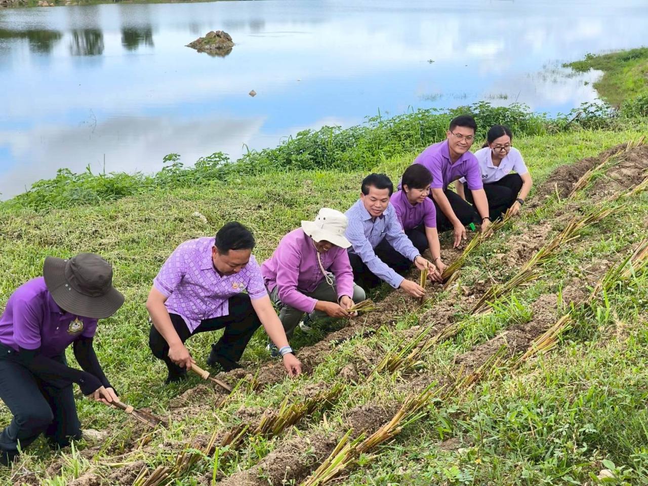 ภาพประกอบที่ 8