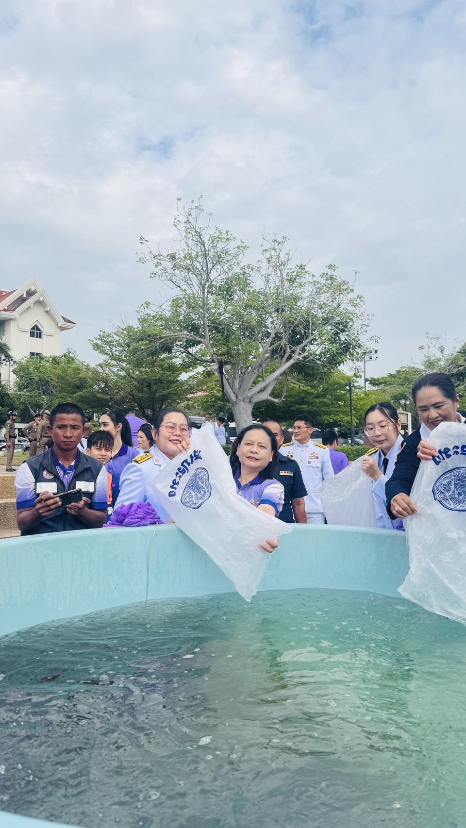 ภาพประกอบที่ 7