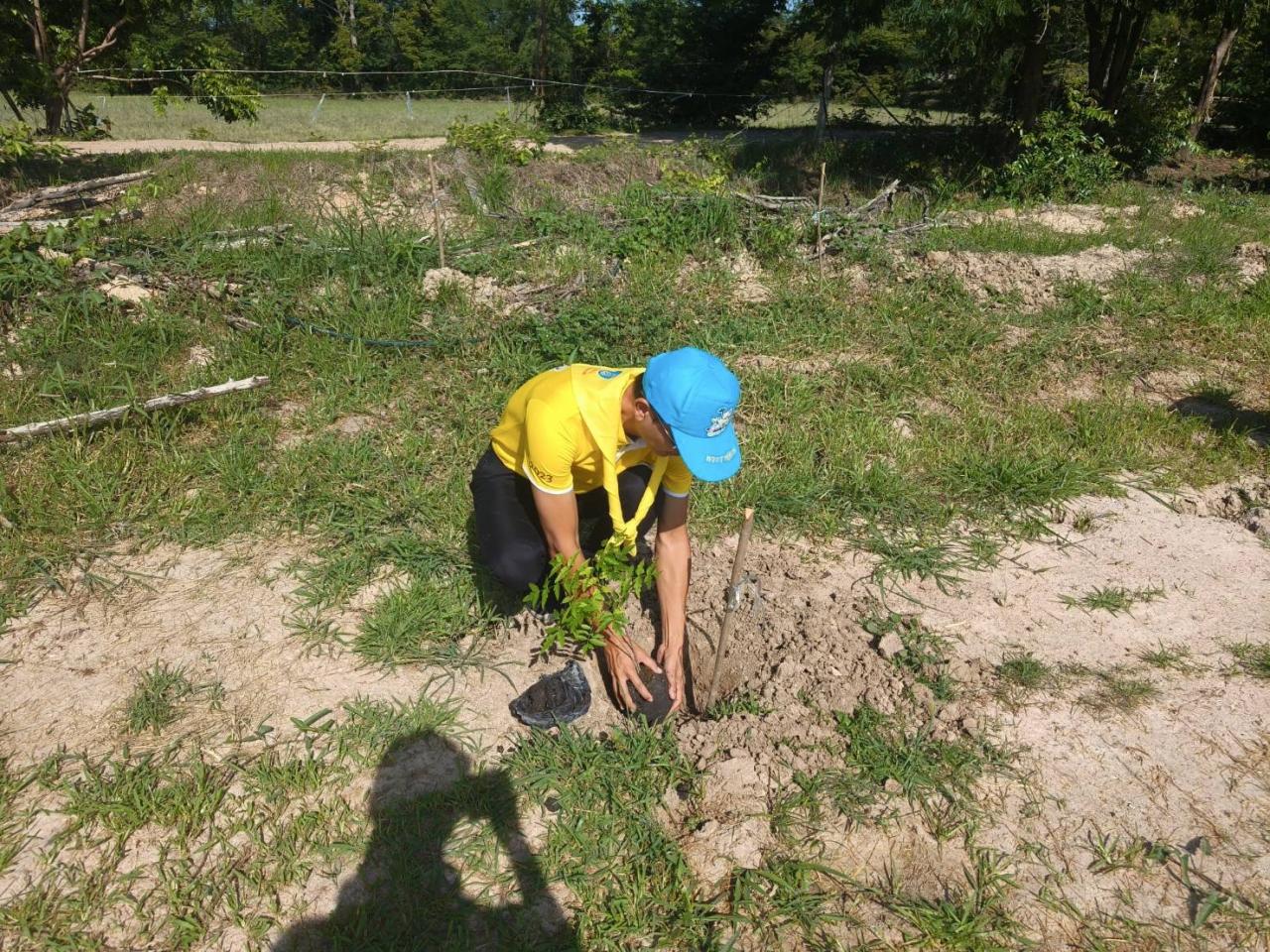 ภาพประกอบที่ 5