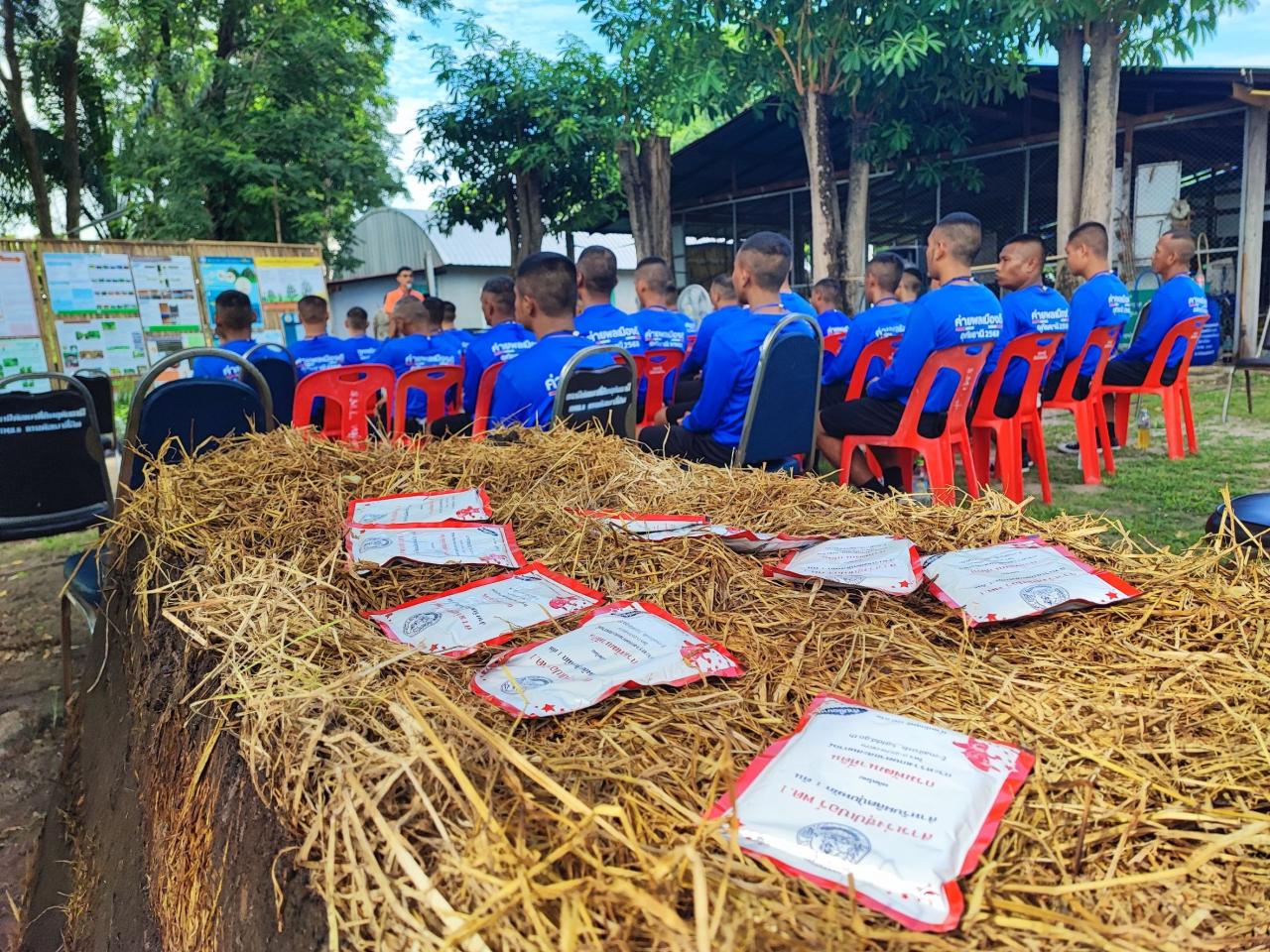 ภาพประกอบที่ 2