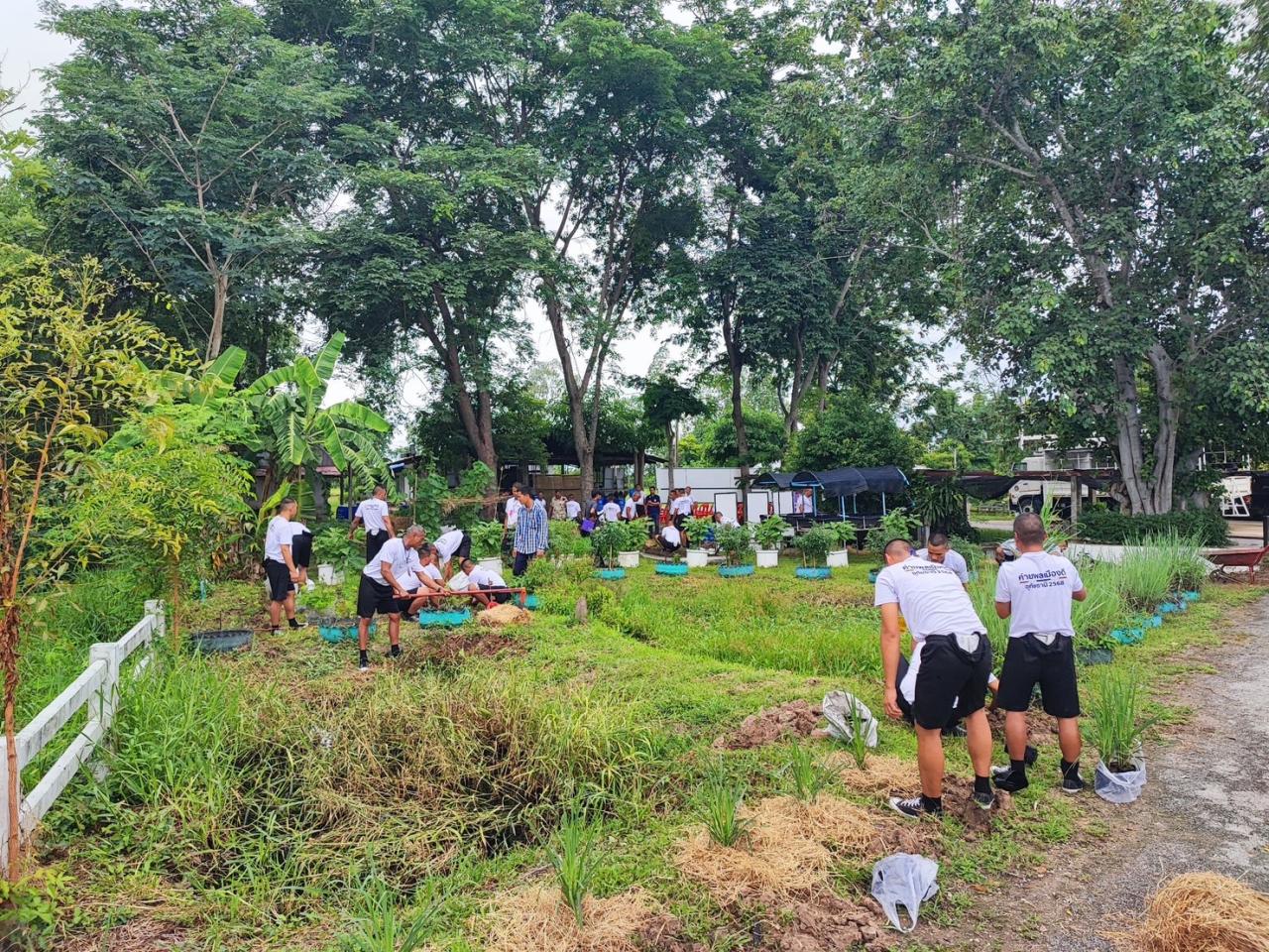 ภาพประกอบที่ 8