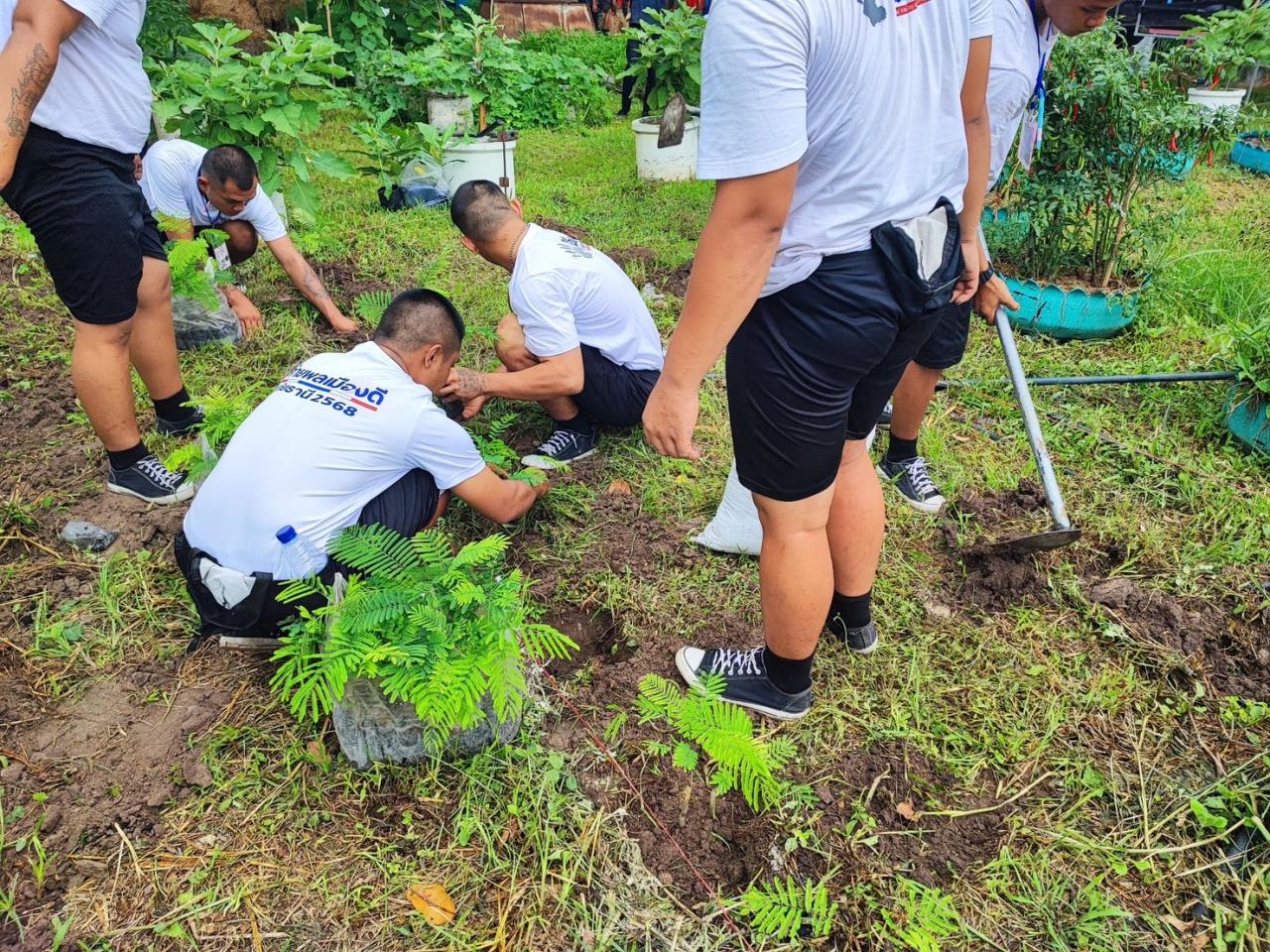 ภาพประกอบที่ 9