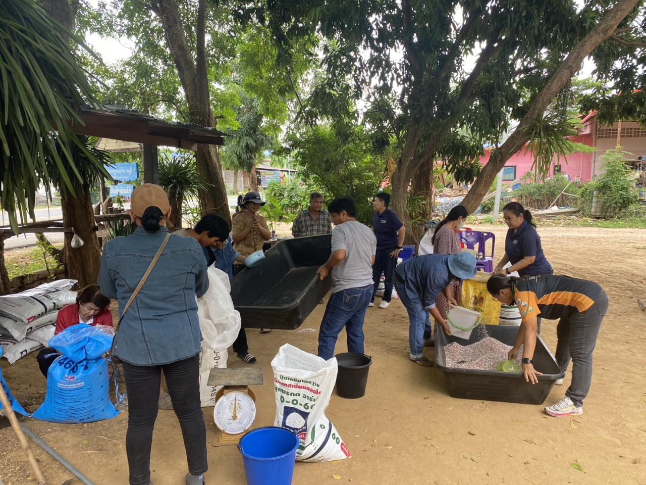 ภาพประกอบที่ 6