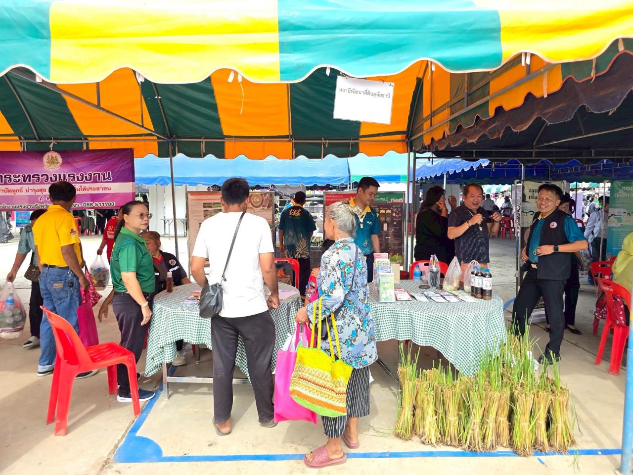 ภาพประกอบที่ 3