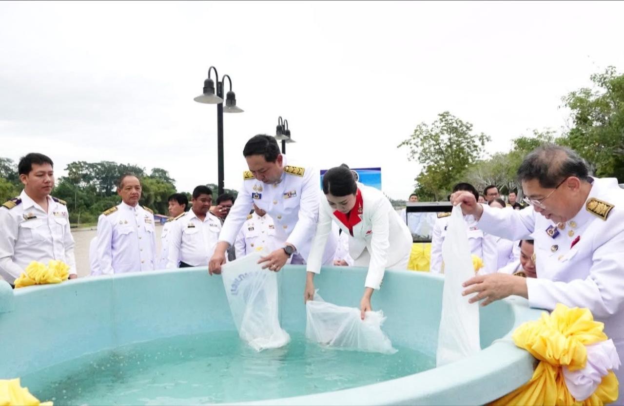 ภาพประกอบที่ 4