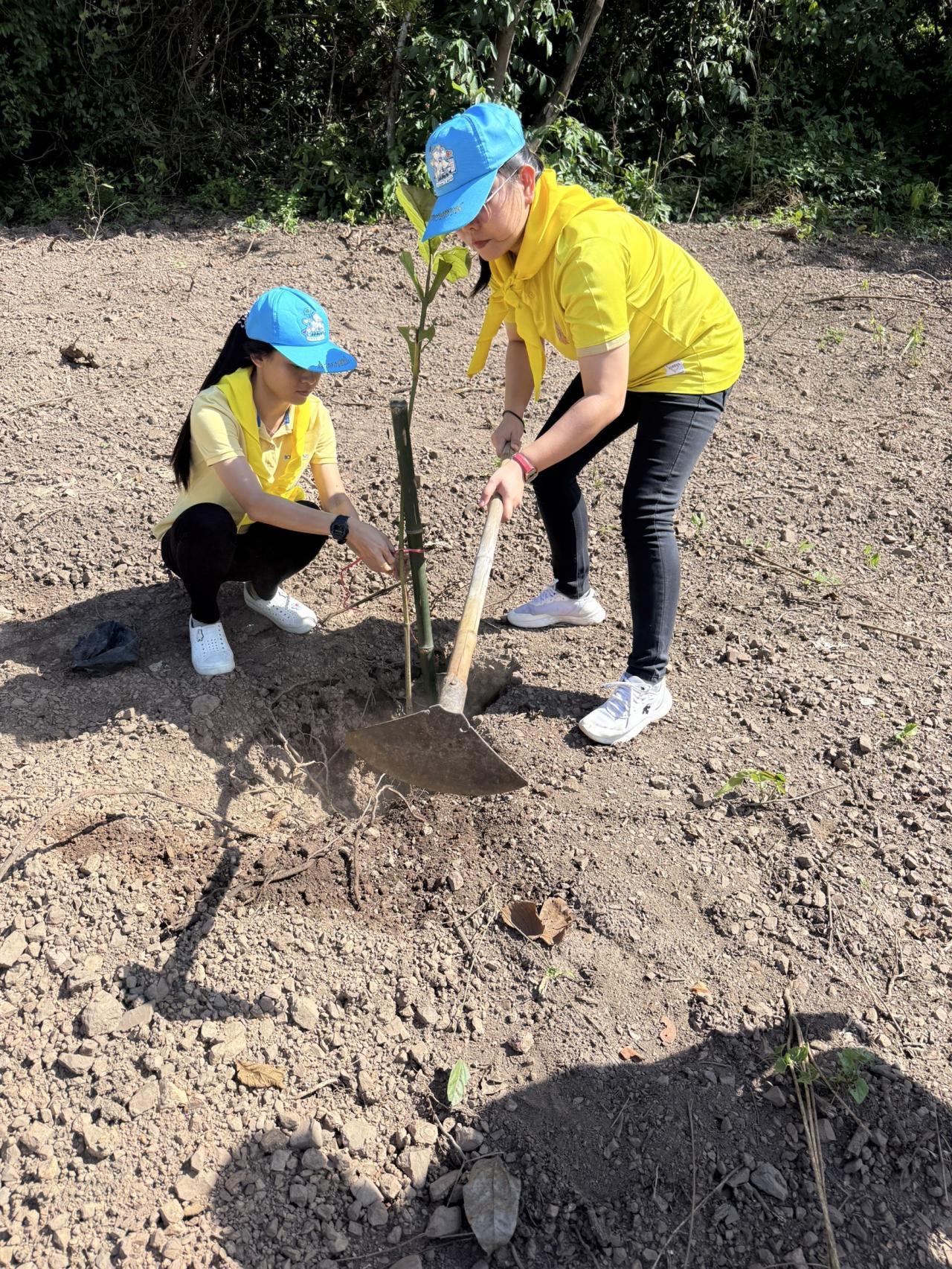 ภาพประกอบที่ 0