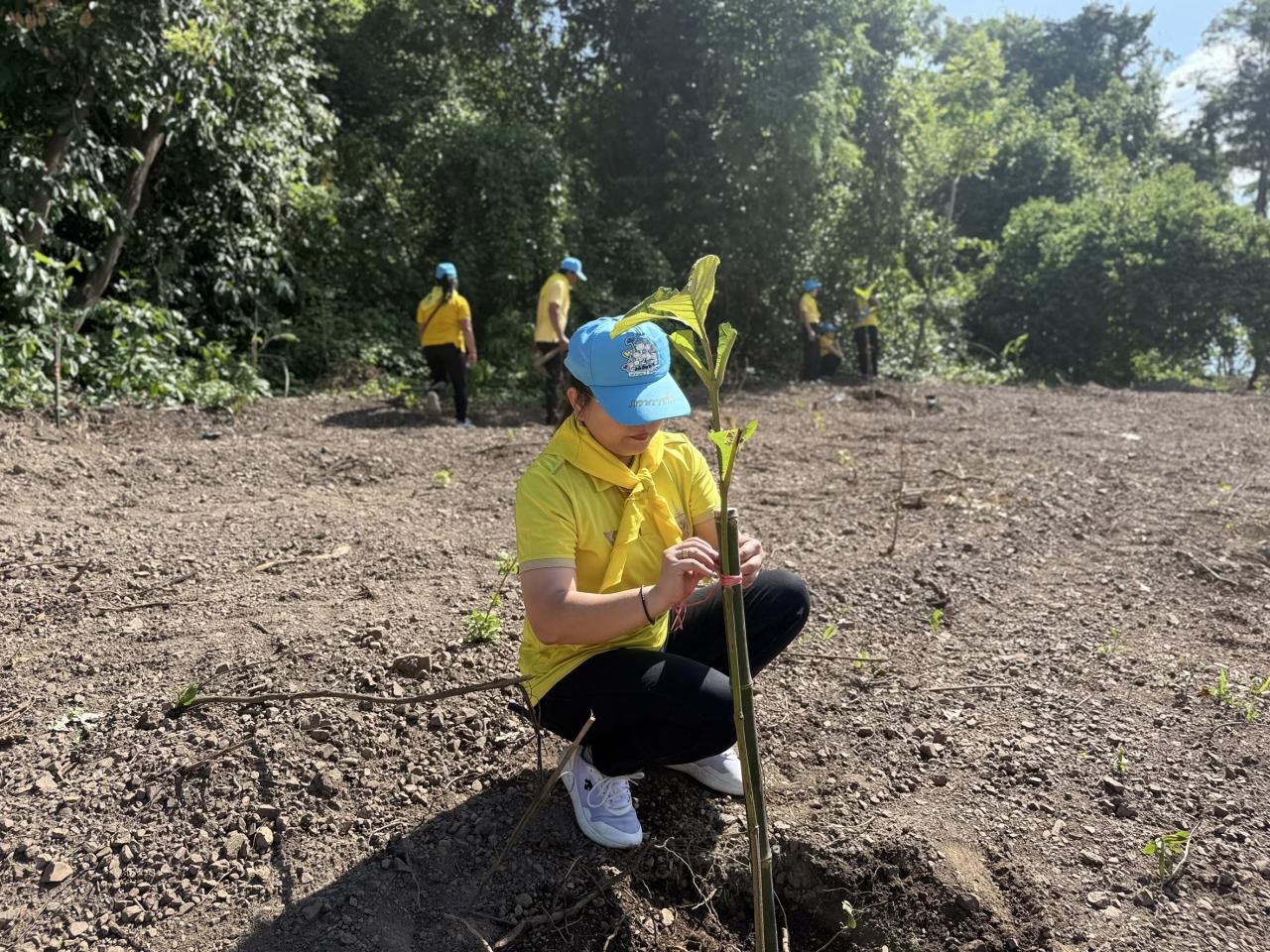 ภาพประกอบที่ 1