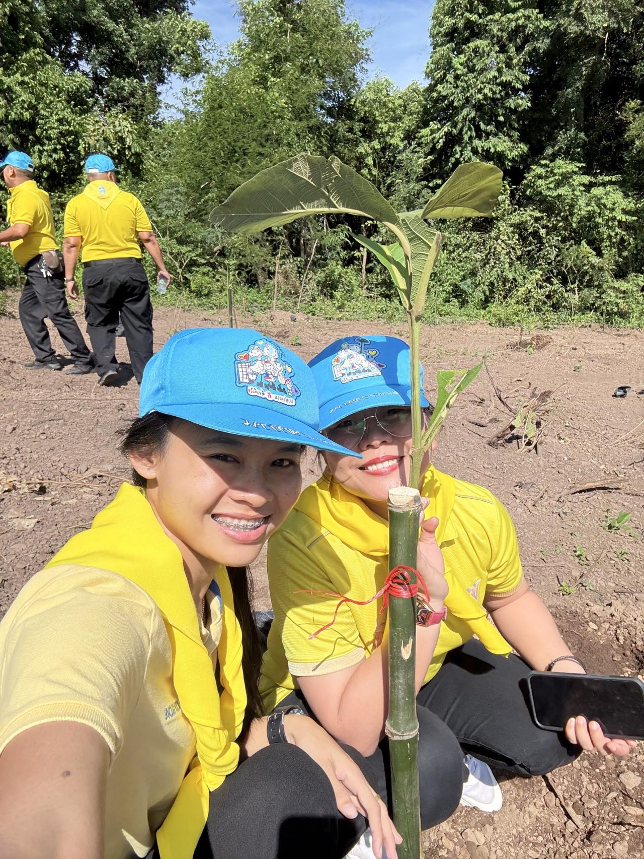 ภาพประกอบที่ 2