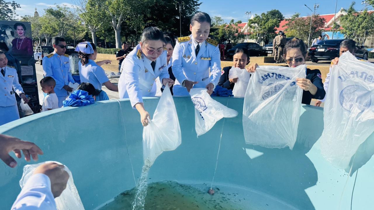 ภาพประกอบที่ 4