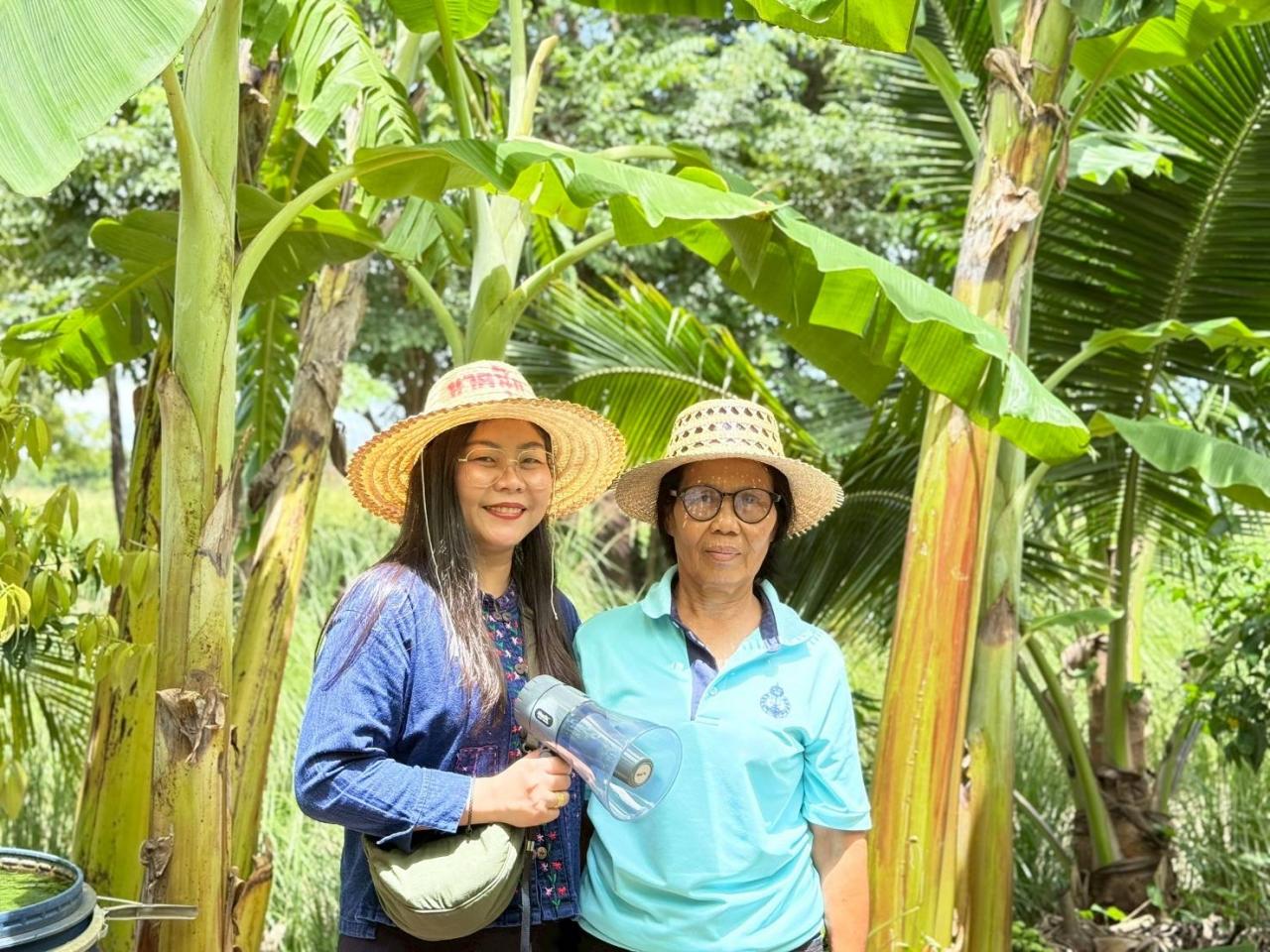 ภาพประกอบที่ 4