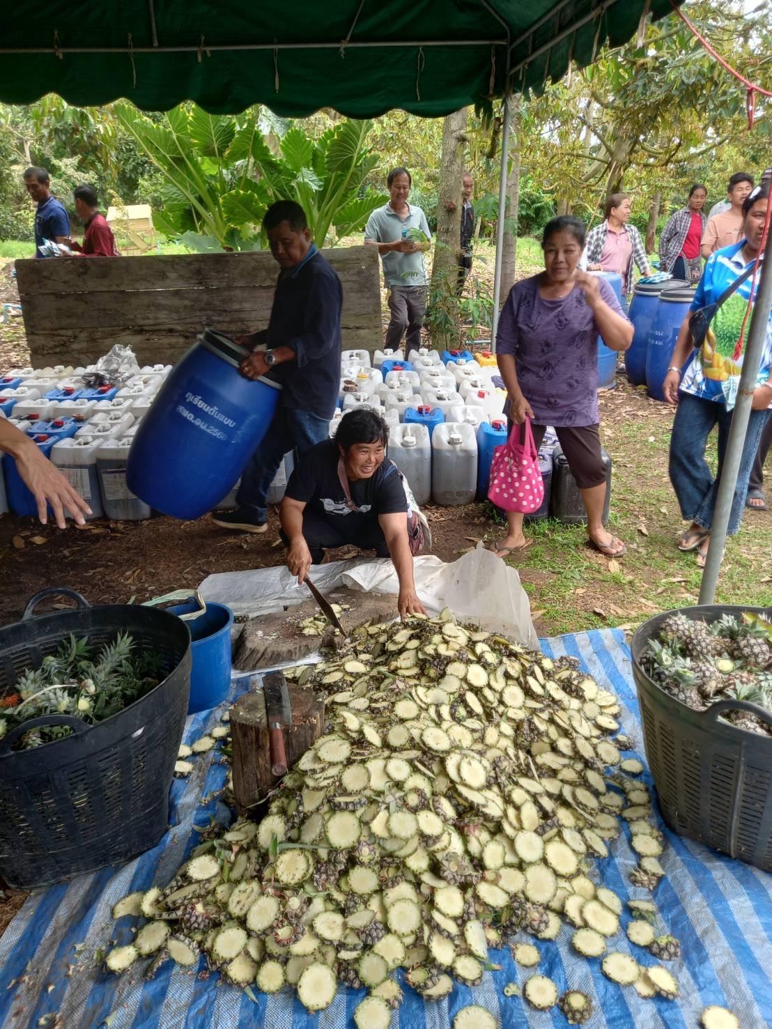 ภาพประกอบที่ 8
