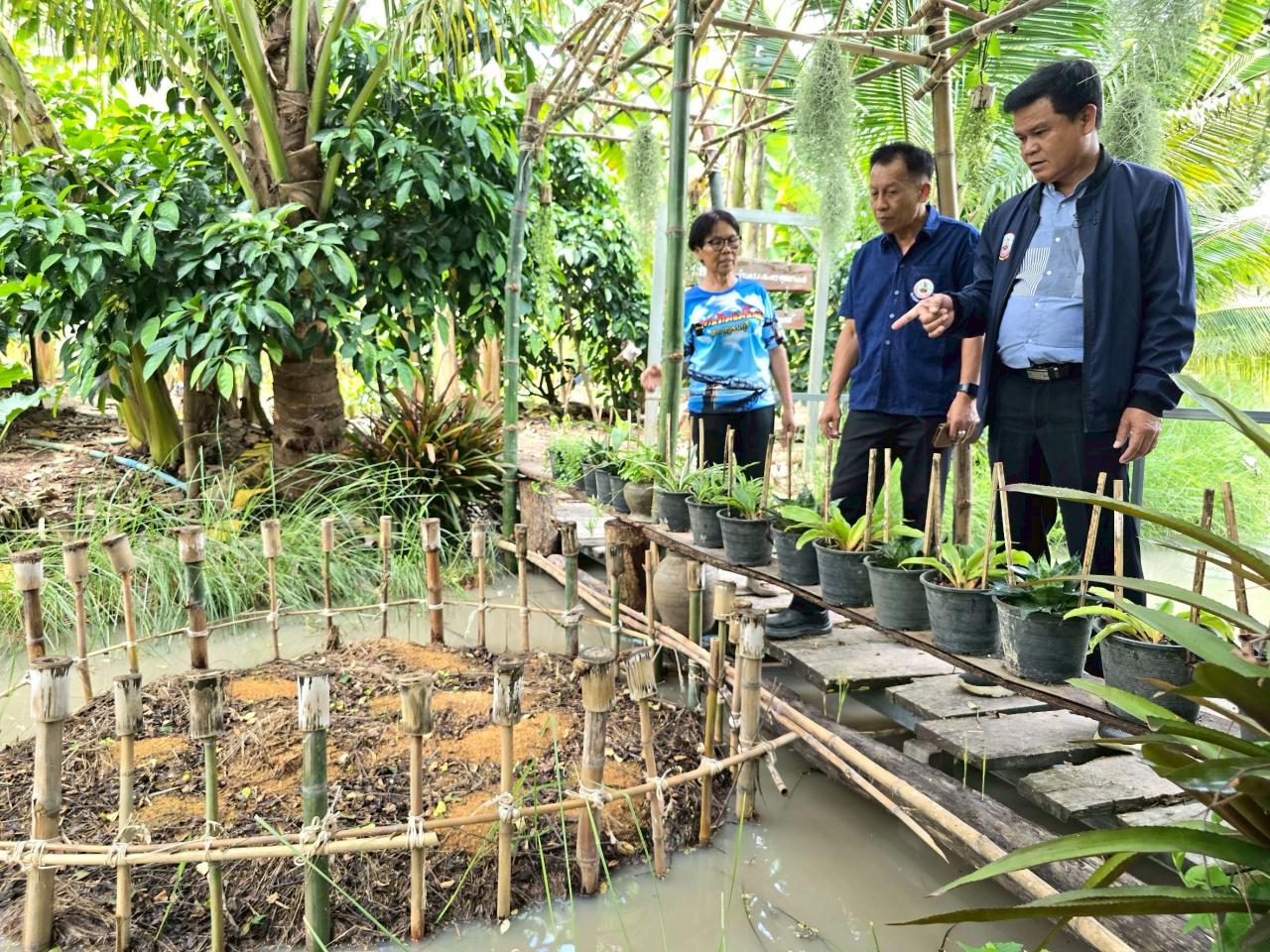 ภาพประกอบที่ 3