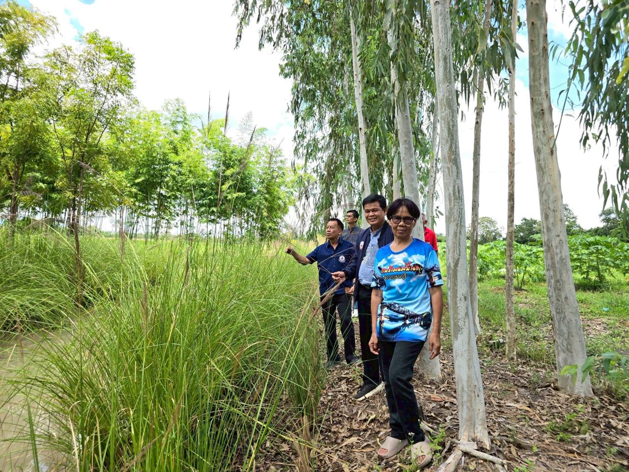 ภาพประกอบที่ 4