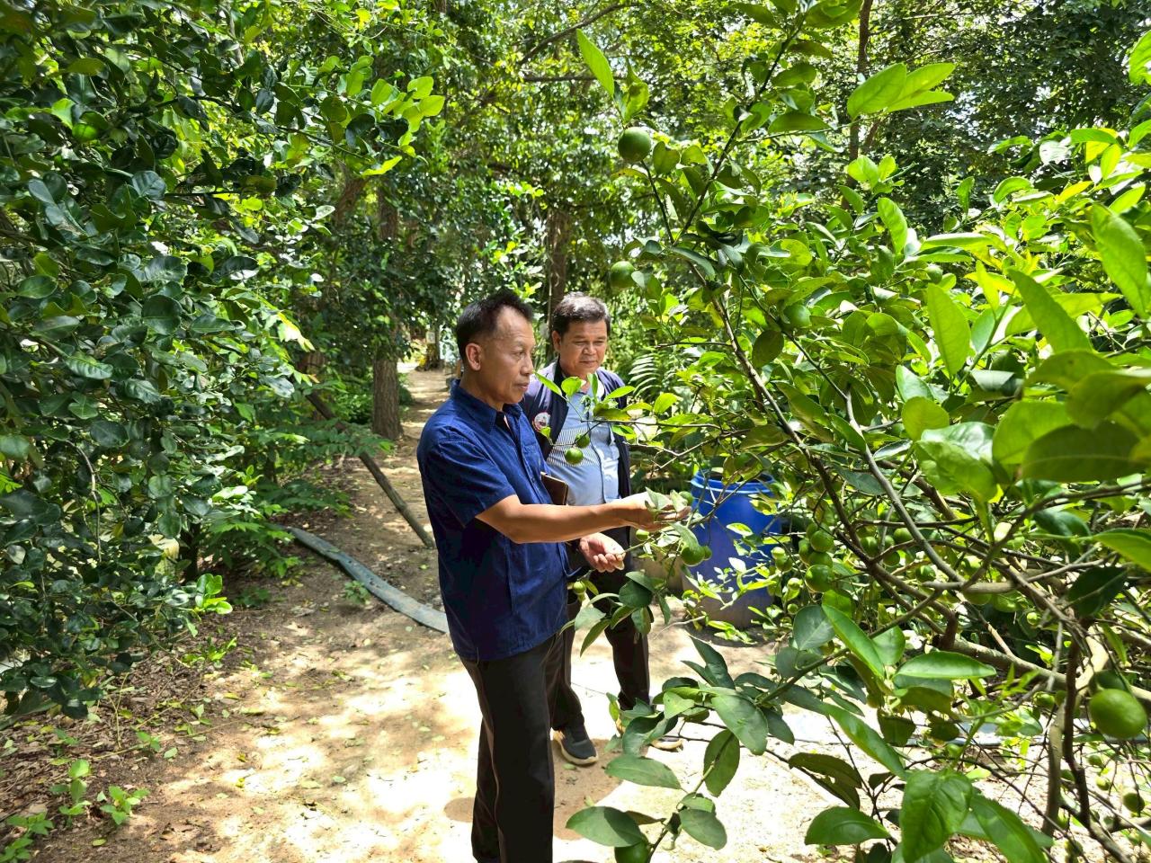 ภาพประกอบที่ 5