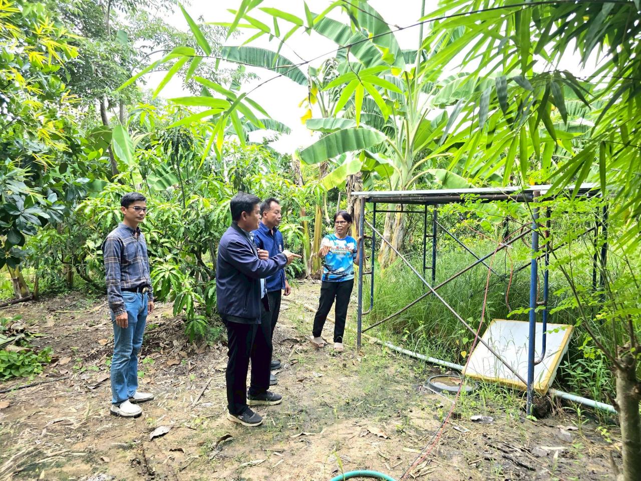 ภาพประกอบที่ 6