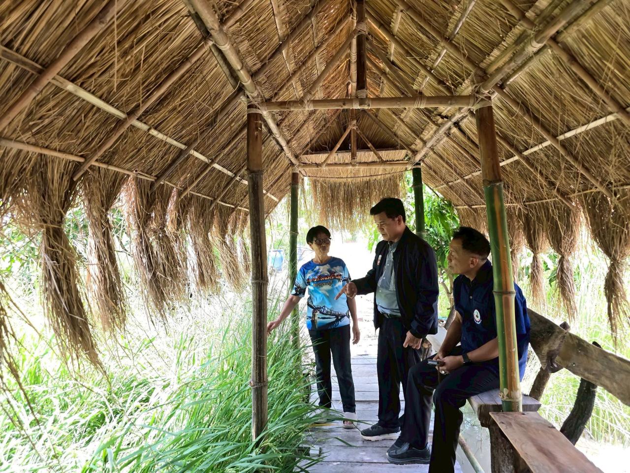 ภาพประกอบที่ 8