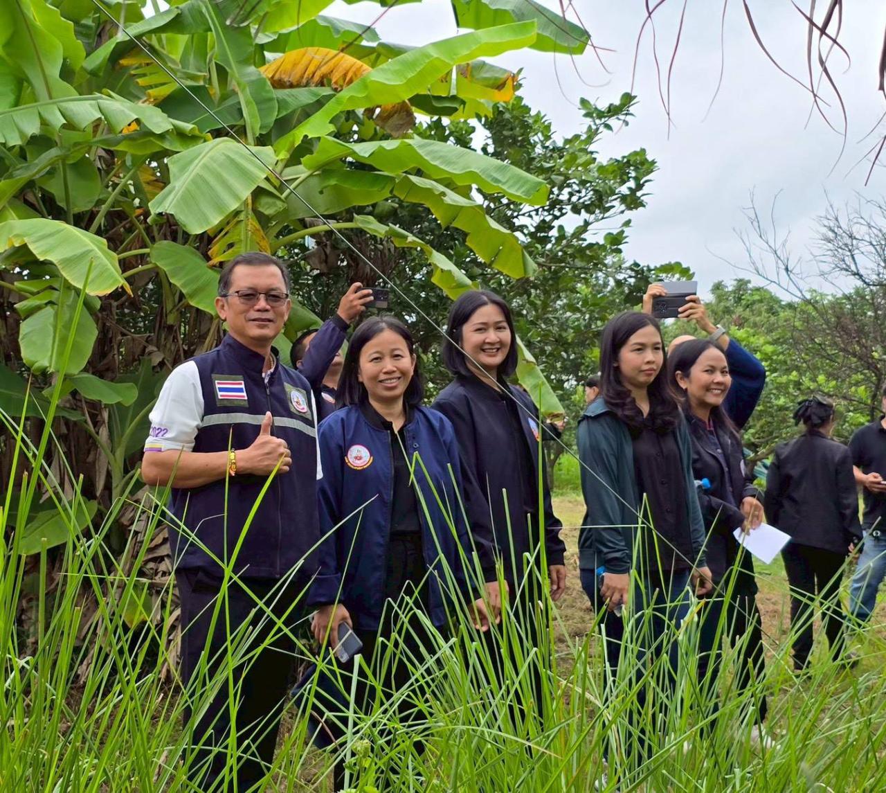 ภาพประกอบที่ 1