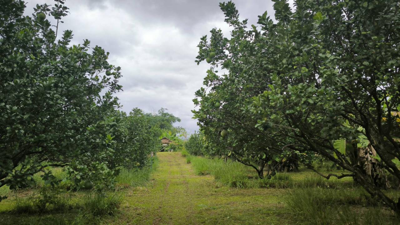 ภาพประกอบที่ 6