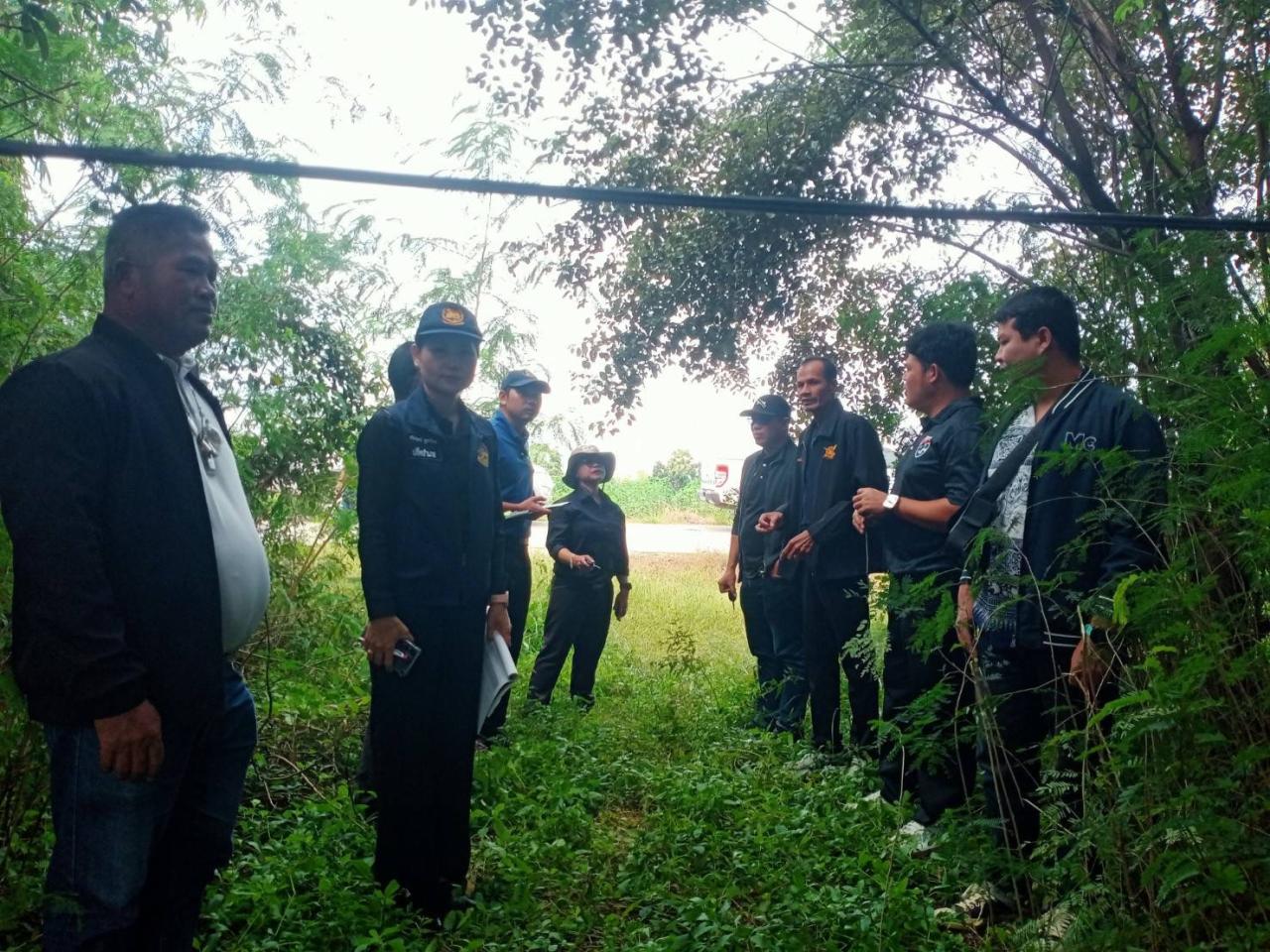 ภาพประกอบที่ 3