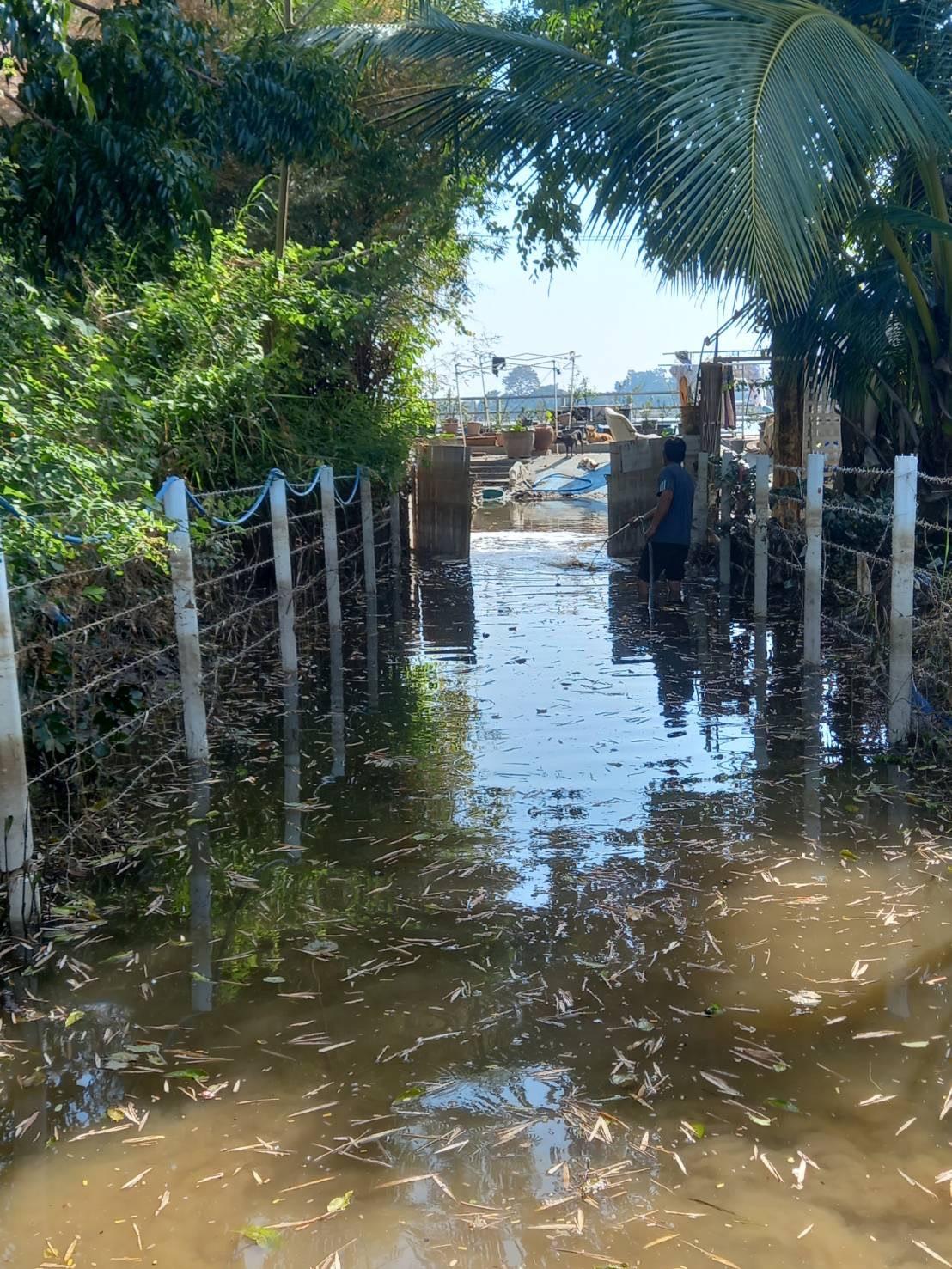 ภาพประกอบที่ 4