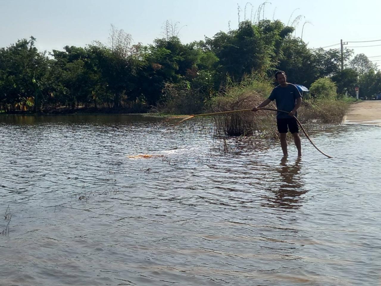 ภาพประกอบที่ 7