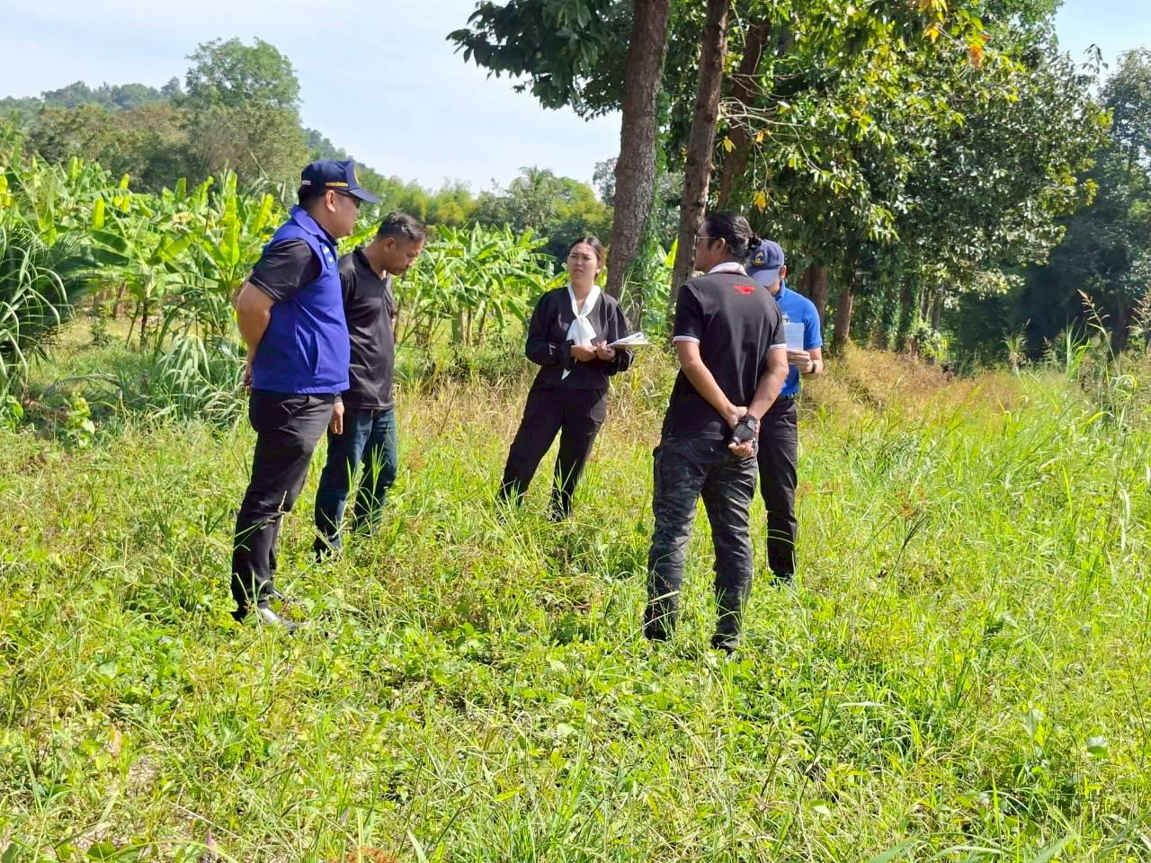 ภาพประกอบที่ 6