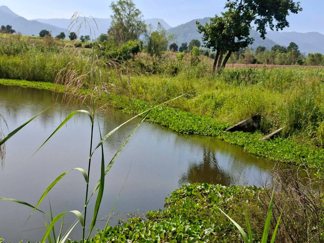 ภาพประกอบที่ 8