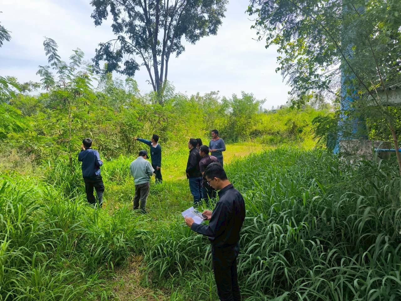 ภาพประกอบที่ 5