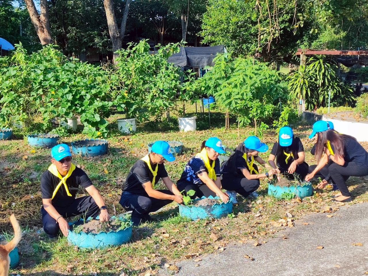 ภาพประกอบที่ 6