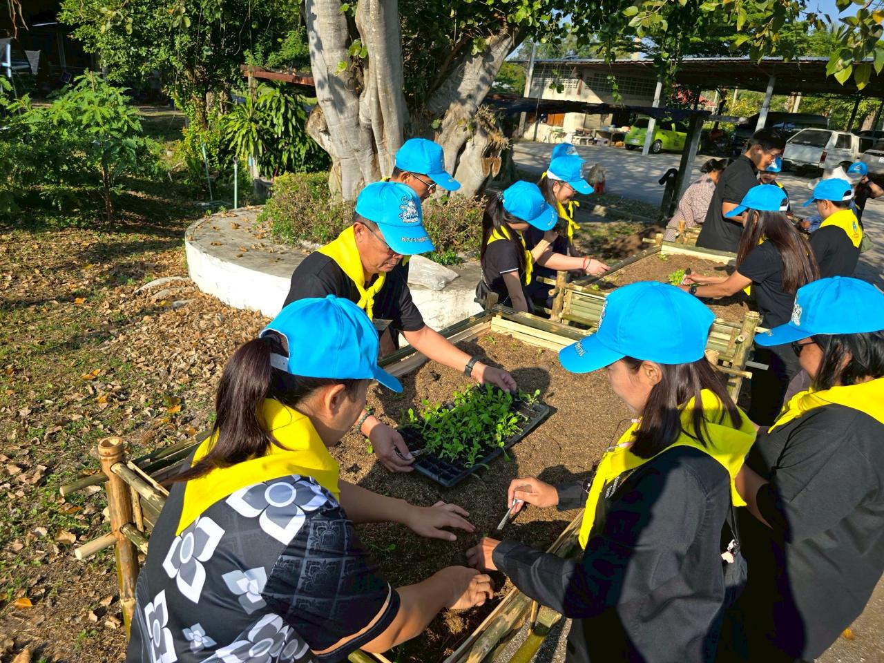 ภาพประกอบที่ 8