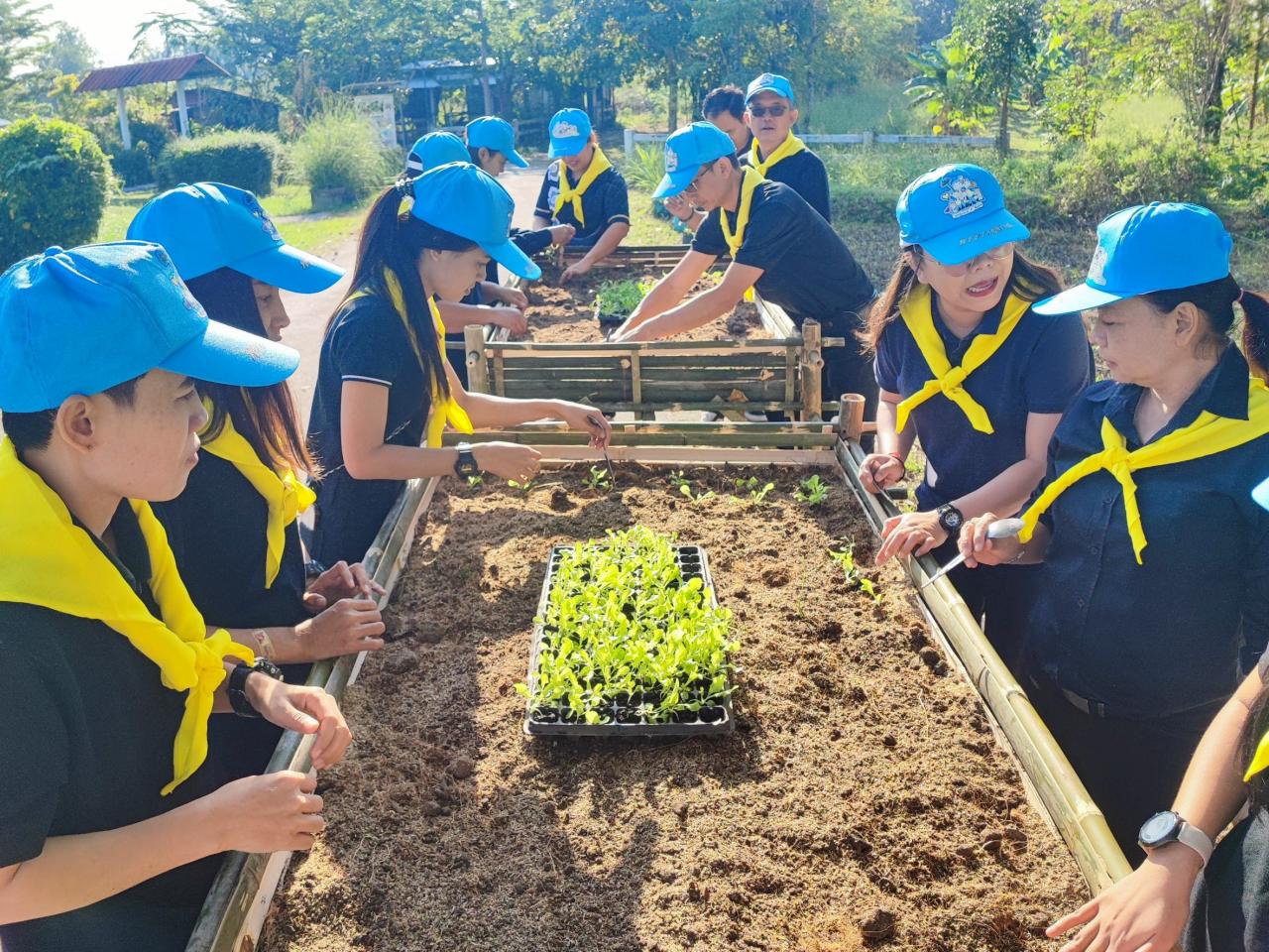 ภาพประกอบที่ 5